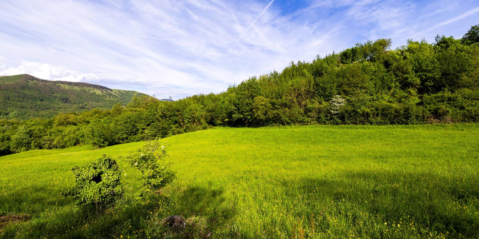 Valle Scrivia 5